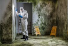 Effective Ways to Evaluate Mold Damage in Your Home